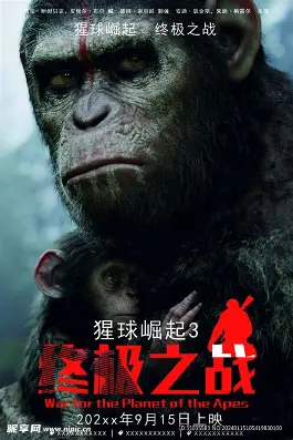 大妈的世界海报